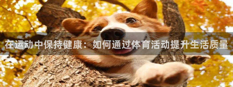 米兰体育官网下载平台APP：在运动中保持健康：如何通