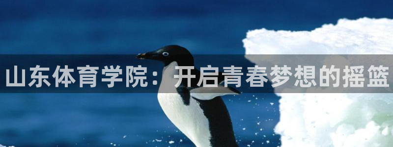米兰体育官网下载招商电话地址是多少：山东体育学院：开