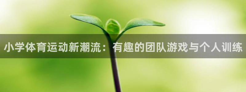 米兰体育官网下载娱乐：小学体育运动新潮流：有趣的团队