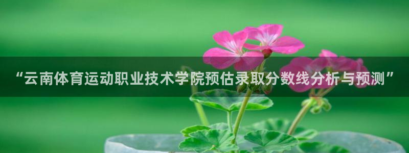 米兰体育官网下载招商电话地址：“云南体育运动职业技术