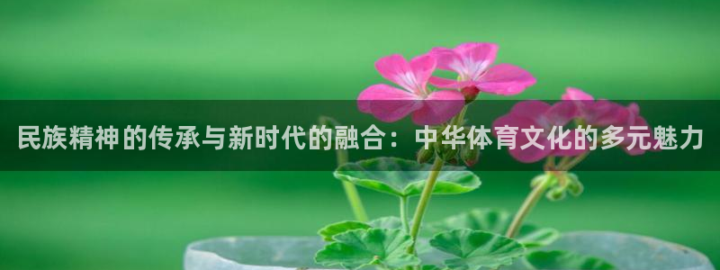 米兰体育官网下载是干嘛的公司：民族精神的传承与新时代的融合：