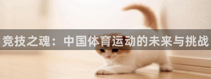 米兰体育官方正版app集团简介：竞技之魂：中国体育运动的未来