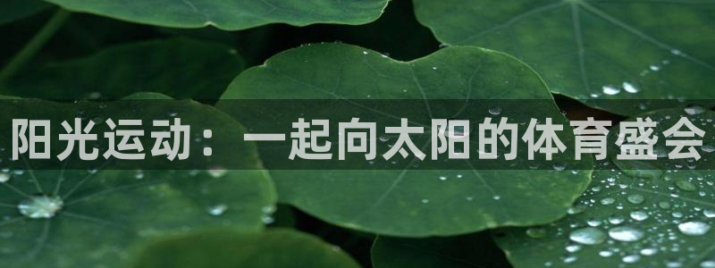 米兰体育官网下载娱乐：阳光运动：一起向太阳的体育盛会