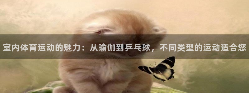 米兰体育官方正版app娱乐下载：室内体育运动的魅力：