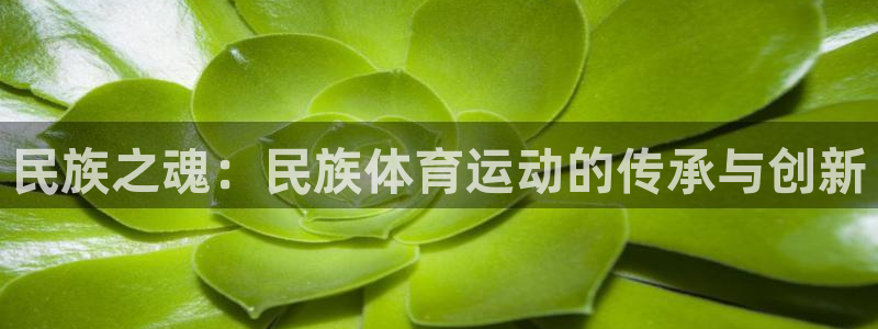 米兰体育官网下载平台APP：民族之魂：民族体育运动的