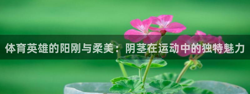 米兰体育官网下载联系电话：体育英雄的阳刚与柔美：阴茎在运动中