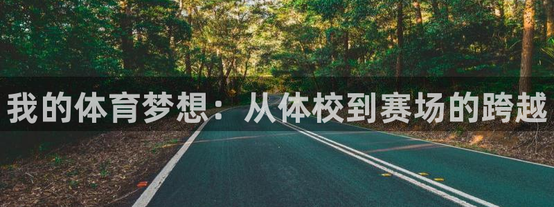 米兰体育官网下载官方客服电话：我的体育梦想：从体校到赛场的跨