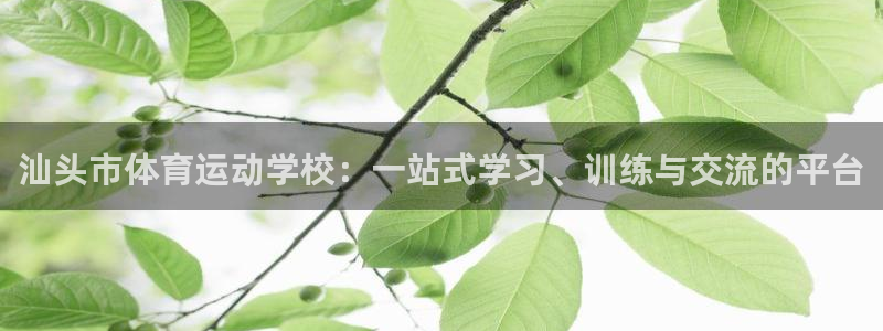 注册米兰体育官方正版app：汕头市体育运动学校：一站式学习、