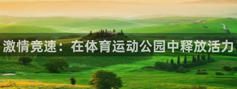 米兰体育官网下载招商电话号码查询：激情竞速：在体育运动公园中
