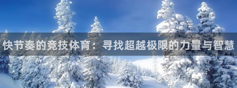 米兰体育官方正版app娱乐下载：快节奏的竞技体育：寻