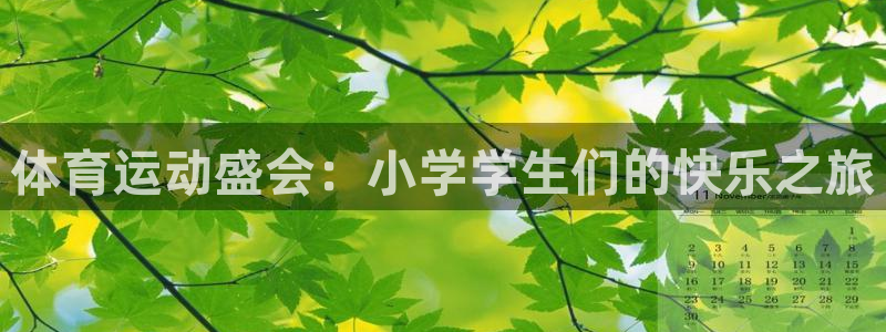 米兰体育官方正版app神州：体育运动盛会：小学学生们的快乐之
