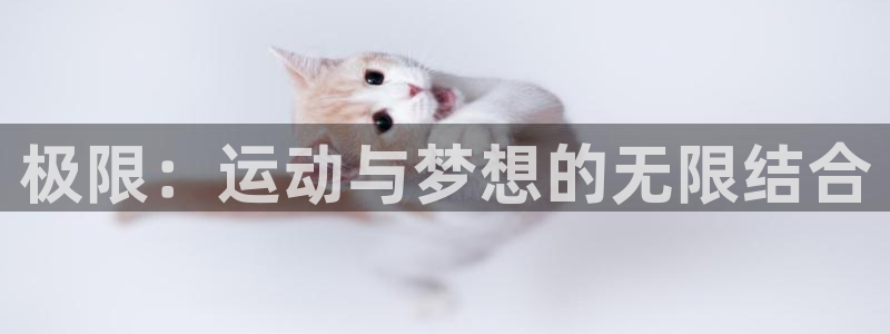米兰体育官方正版app娱乐平台：极限：运动与梦想的无