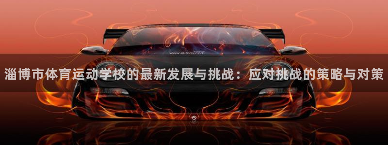 米兰体育官方正版app集团E.ON：淄博市体育运动学