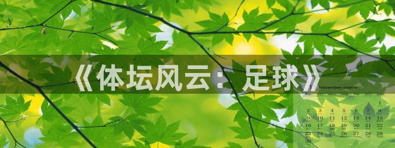 米兰体育官方正版app集团