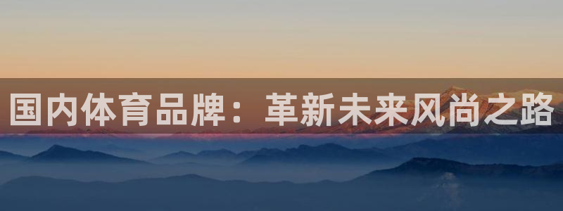 米兰体育官网下载平台假的吗是真的吗：国内体育品牌：革新未来风