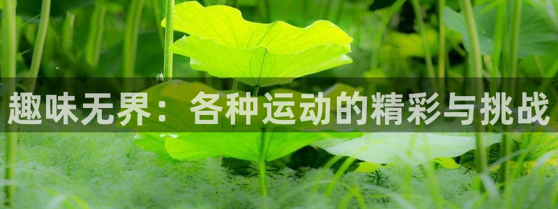 米兰体育能退钱吗现在：趣味无界：各种运动的精彩与挑战