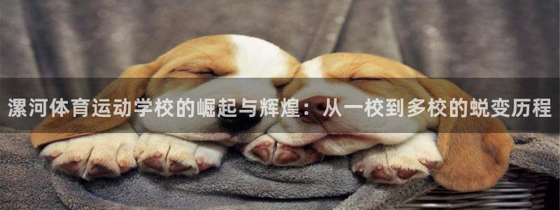 米兰体育官网斯特拉斯堡战略伙伴T：漯