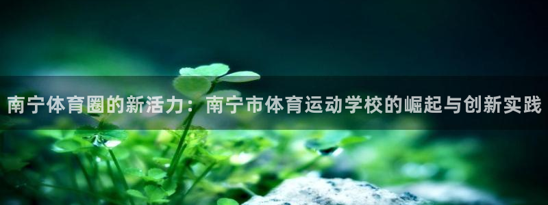 米兰体育入口：南宁体育圈的新活力：南