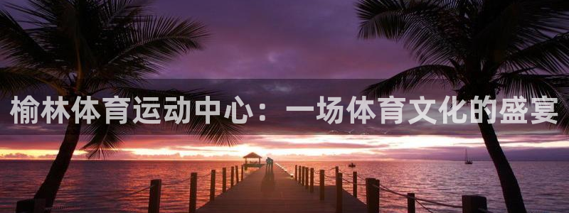  米兰体育官网拉斯帕尔马斯战略伙伴W：榆林体育运动中心：一场体