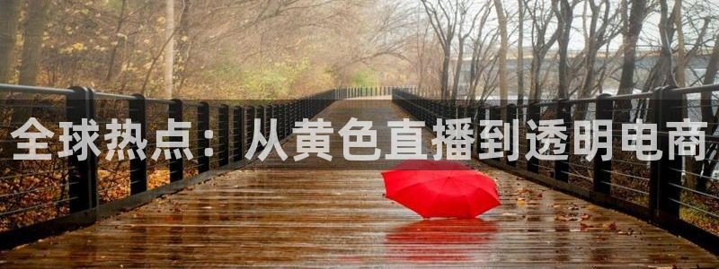 山猫足球直播雨燕直播：全球热点：从黄色直播到透明电商