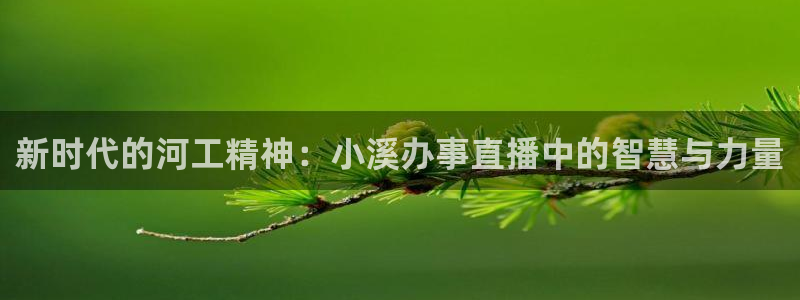 山猫体育下载：新时代的河工精神：小溪办事直播中的智慧与力量