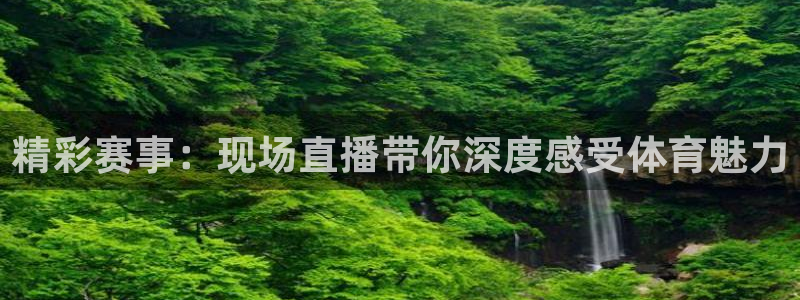 山猫足球体育直播：精彩赛事：现场直播带你深度感受体育魅力